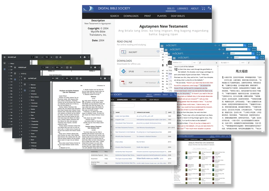 BibleCloud Interface Screenshot